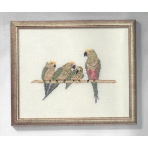 Parakitter - hr 10 trde, 5 sting pr. cm 