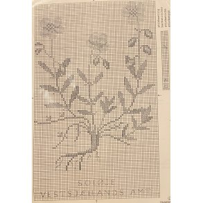 Blomsten Solje fra Haandarbejdets Fremme