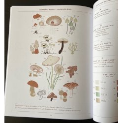 The Botanist�s Cabinet - m�nsterbog fra DMC