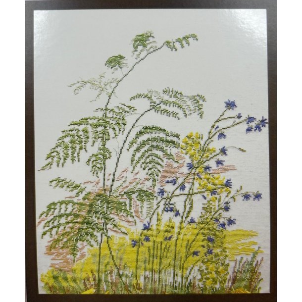 Grass Species - billede