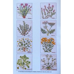 H�ndarbejdets Fremme m�nsterh�fter