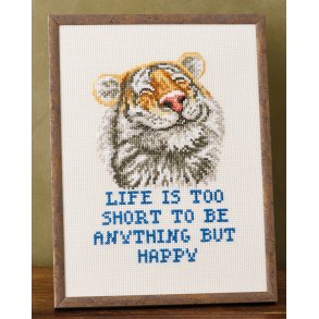 Life is too short - aida 5,4