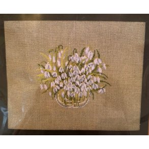 Vinterg�kker billede 